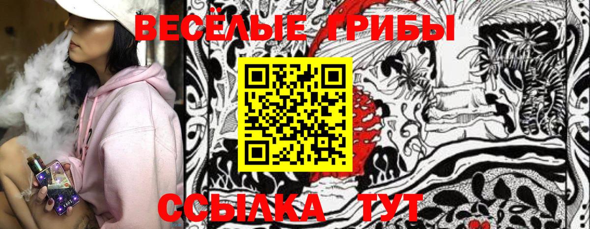 Псилоцибиновые грибы Psilocybine cubensis Астрахань
