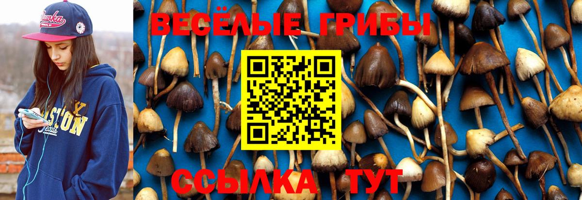 Астрахань  Псилоцибиновые грибы прущие грибы  Вход с VPN  Псилоцибиновые грибы MAGIC MUSHROOMS 