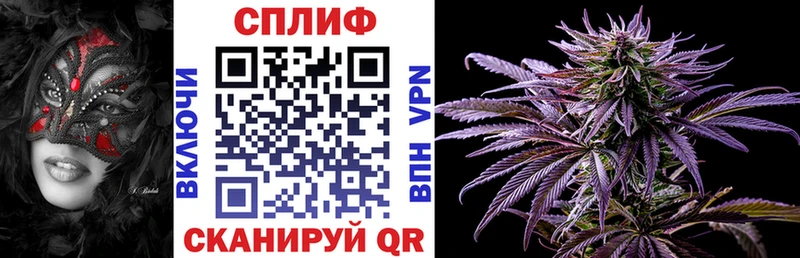 Бошки Шишки White Widow  продажа наркотиков  Астрахань 